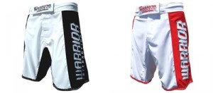 Top 10 Best MMA Shorts