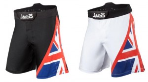 hayabusa shorts uk